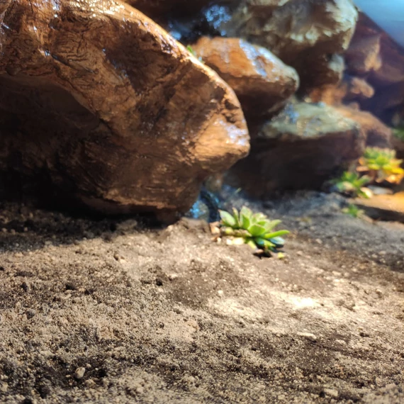 Terráriumi aljzat, talaj, európai szárazföldi teknősök számára, 5,5 liter